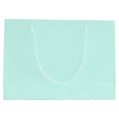 Solid cameo green mint soft turquoise groot cadeauzakje (Achterkant)