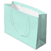 Solid cameo green mint soft turquoise groot cadeauzakje (Achterkant Gekanteld)