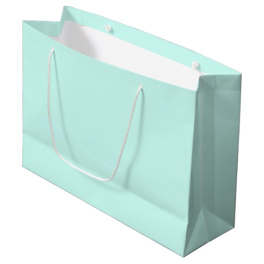 Solid cameo green mint soft turquoise groot cadeauzakje (Voorkant Gekanteld)