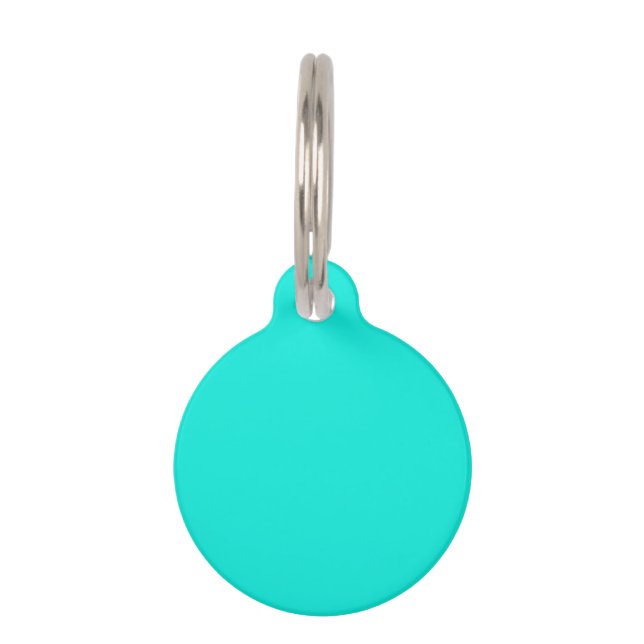 Solid Color: Bright Aqua Huisdierpenning (Voorkant)