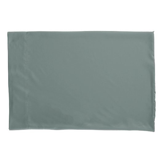 Solid Color Cool Neutral Green Undertone 2026 COTY Kussensloop (Voorkant)