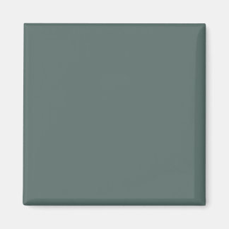 Solid Color Cool Neutral Green Undertone 2026 COTY Magneet