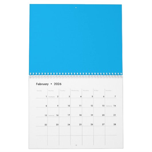Solid Cyan Blue Background | Summer Minimal Style Kalender (Feb 2026)