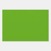 Solid Jolly Green Inpakpapier Vel (Voorkant 2)