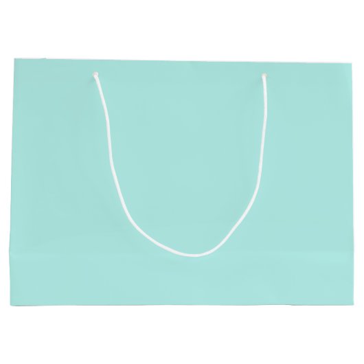 Solid light turquoise groot cadeauzakje (Achterkant)