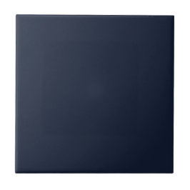 Solid Midnight Blue | #121d34 Tegeltje