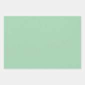 Solid Mint Green Inpakpapier Vel (Voorkant 3)
