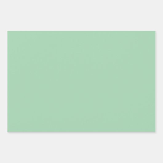 Solid Mint Green Inpakpapier Vel (Voorkant 3)