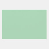 Solid Mint Green Inpakpapier Vel (Voorkant 2)