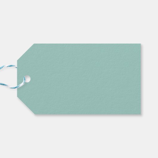 Solid Mint Green Kleur Minimaal Cadeaulabel (Achterkant Horizontaal)