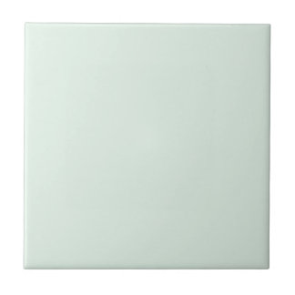 Solid Pale Mint Green Tile Tegeltje