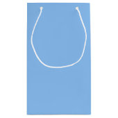 Solid Pastel Blue Classic Baby Shower Boy Klein Cadeauzakje (Achterkant)