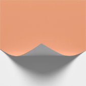 Solid Peach Oranje kleur | Hex# FF9D6E Cadeaupapier (Hoek)