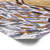 Solidariedade Urbana Perfect Poster (Hoek)