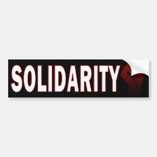 SOLIDARITEIT BUMPERSTICKER