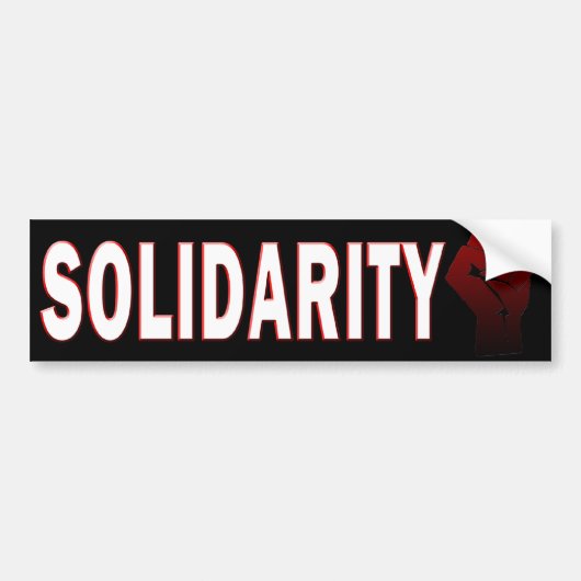 SOLIDARITEIT BUMPERSTICKER (Voorkant)