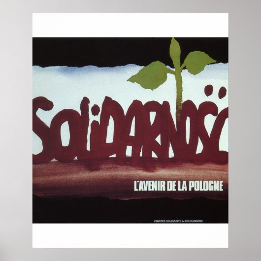 Solidariteit. De toekomst van het poster Polen_Pro (Voorkant)