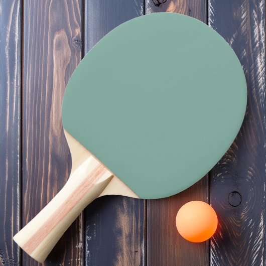 Solide Aqua Rif Kleur Tafeltennisbatje