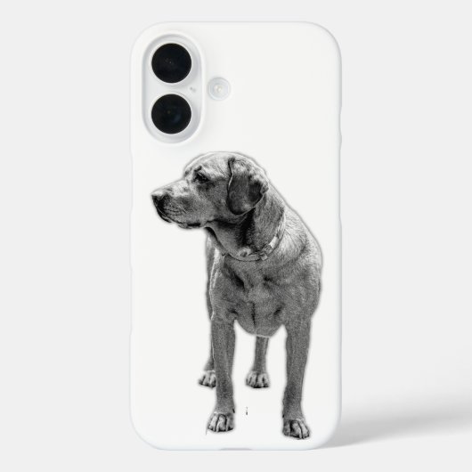 Solide houding, dagelijks pantser Case-Mate iPhone case (Achterkant)