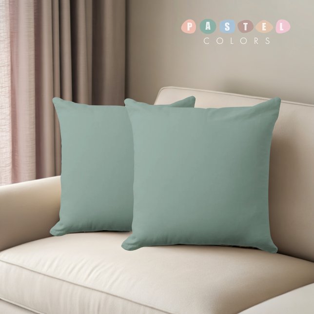 Solide Zacht Licht Pastelsalie Blauwgroen Groene K Kussen (Solid Soft Light Pastel Sage Teal Green Color Throw Pillow)