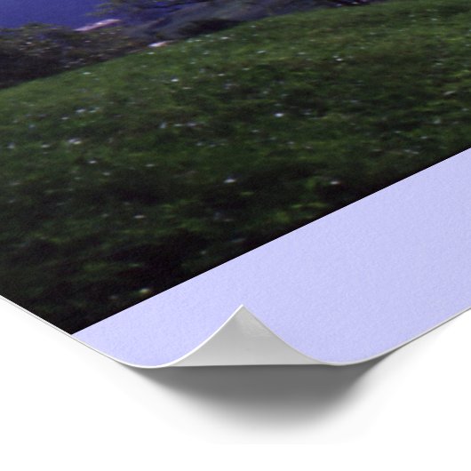 Solio Zwitserland Poster (Hoek)