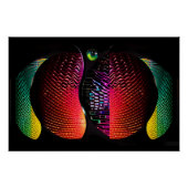 Solipsisme Perfect Poster (Voorkant)