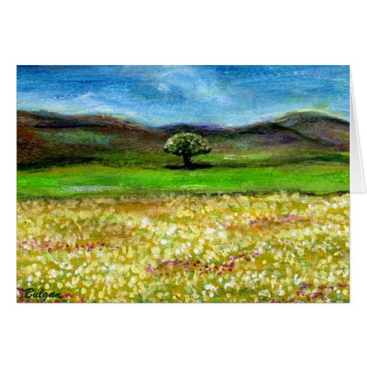 SOLITAIRE BOOM IN HET VELD, TOSCANE (Voorkant Horizontaal)