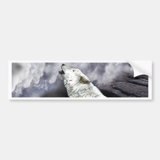 SOLITAIRE EN EENZAME BUMPERSTICKER (Voorkant)