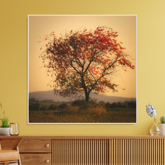 Solitaire herfstboom bij zonsondergang canvas afdruk (Insitu (Woonkamer))