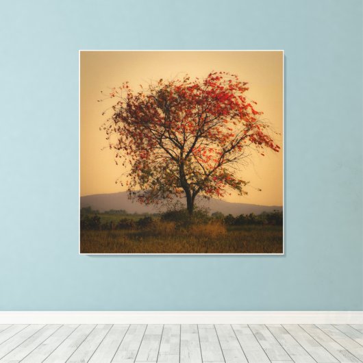 Solitaire herfstboom bij zonsondergang canvas afdruk (Insitu (Houten vloer))