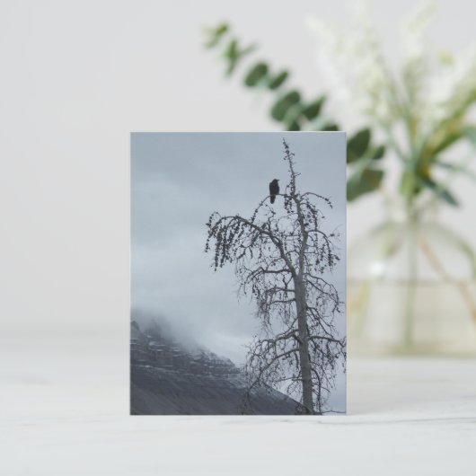 Solitaire Raven Briefkaart (Staand voorkant)