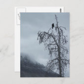 Solitaire Raven Briefkaart (Voorkant / Achterkant)