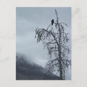 Solitaire Raven Briefkaart