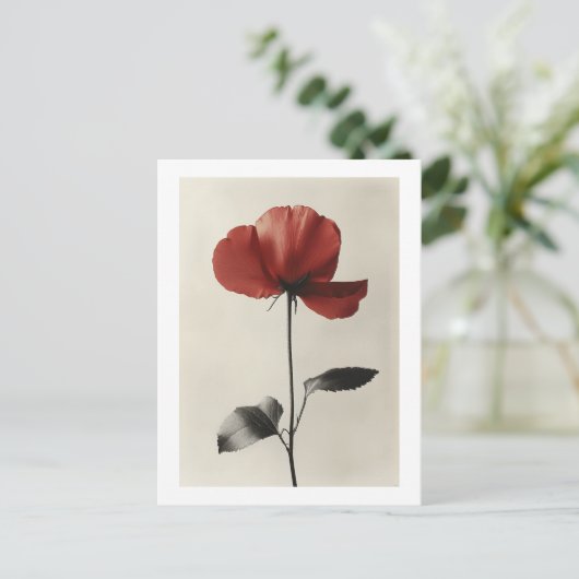 Solitaire rode bloem briefkaart (Staand voorkant)