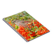 Solitaire stad van Townsend op de Pyracantha Notitieboek (Rechterzijde)