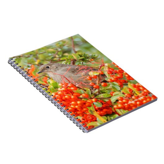 Solitaire stad van Townsend op de Pyracantha Notitieboek (Rechterzijde)