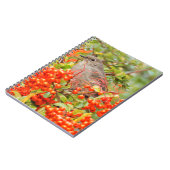 Solitaire stad van Townsend op de Pyracantha Notitieboek (Linkerzijde)