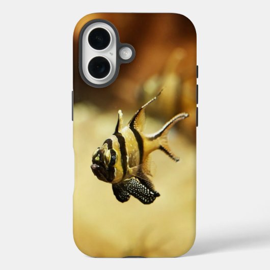 Solitaire Stripy Angelfish onder water Case-Mate iPhone Case (Achterkant)