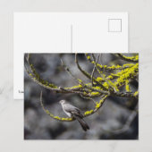 Solitaire Townsend Briefkaart (Voorkant / Achterkant)