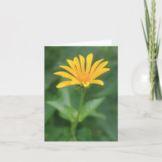 Solitaire Yellow Flower Note Kaart (Voorkant)