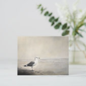 Solitaire zeemeeuw aan de kust briefkaart (Staand voorkant)