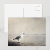 Solitaire zeemeeuw aan de kust briefkaart (Voorkant / Achterkant)