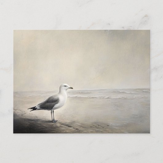 Solitaire zeemeeuw aan de kust briefkaart (Voorkant)