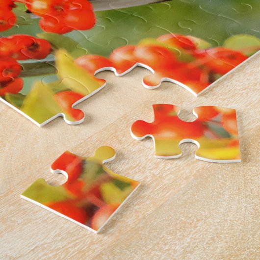 Solitaire zongvogel van Townsend op de Pyracantha Legpuzzel (Zijkant)