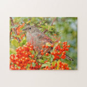 Solitaire zongvogel van Townsend op de Pyracantha Legpuzzel (Horizontaal)