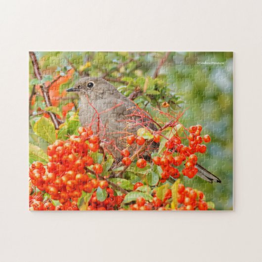 Solitaire zongvogel van Townsend op de Pyracantha Legpuzzel (Horizontaal)