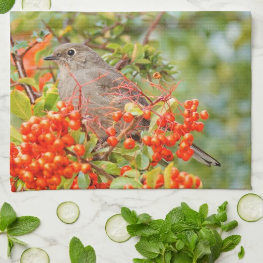 Solitaire zongvogel van Townsend op de Pyracantha Theedoek (Gevouwen)