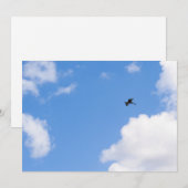 Solitary Bird Soaring Through Bright Blue Sky with Kaart (Voorkant / Achterkant)