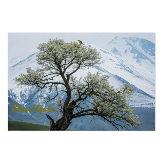 Solitary Blossoming Tree and Snowy Mountains Perfect Poster (Voorkant)
