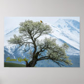 Solitary Blossoming Tree and Snowy Mountains Poster (Voorkant)